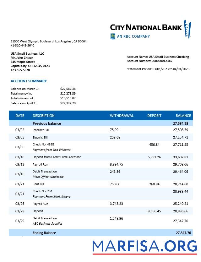 Downloadable City National Bank organization statement Word and PDF template